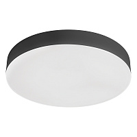 Светодиодный светильник Feron AL266 накладной 24W 6400K черный 51912