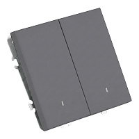 Выключатель 2-клавишный c индикатором (механизм), STEKKER, 250В, 10А, серия Эмили, RSW10-5102-10,  платиново-серый, soft touch 49942