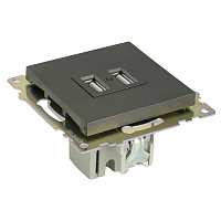 Розетка 2-местная USB (механизм), 250В, 2,1А, серия Катрин, графит, GLS10-7115-06 49422 Розетка 2-местная USB (механизм), 250В, 2,1А, серия Катрин, графит, GLS10-7115-06 49422