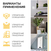 Контроллер для управления осветительным оборудованием AC230V, 50HZ, LD200 41132 Контроллер для управления осветительным оборудованием AC230V, 50HZ, LD200 41132