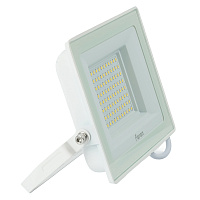 Светодиодный прожектор Feron LL-922 IP65 100W 6400K 52081 Светодиодный прожектор Feron LL-922 IP65 100W 6400K 52081