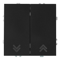 Выключатель 2-клавишный самовозвратный (механизм), STEKKER, 250В, 10А, серия Эмили, RSW10-5113-05, черный уголь, soft touch 50327