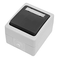 Выключатель 1-клавишный с окном для маркировки самовозвратный STEKKER, PSW10-114-54, открытой установки, 250В, 10А, IP54, серый/графит 49723