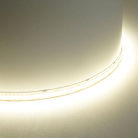 Светодиодная LED лента Feron LS503 240SMD(2835)/м 22Вт/м 24V 5000*10*1.22мм 4000К, IP20  Светодиодная LED лента Feron LS503 240SMD(2835)/м 22Вт/м 24V 5000*10*1.22мм 4000К, IP20