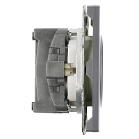 Розетка 1-местная с з/ш, с/з (механизм), СЗК, STEKKER, 250В, 16А, серия Эмили, RST16-5110-10ZK, платиново-серый, soft touch 50243