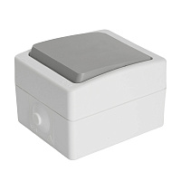 Переключатель 1-клавишный STEKKER, PSW10-212-54, 1-полюсный на 2 направления открытой установки, 250В, 10А, IP54, белый/серый 49732